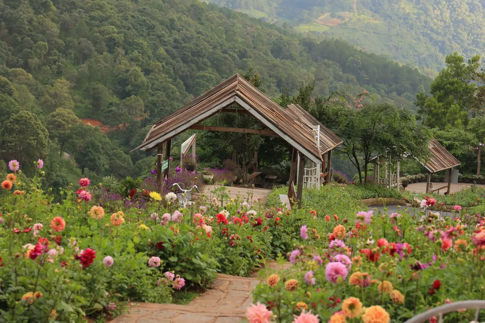 Vườn hoa và khung cảnh đồi núi tại Cao Nguyên Hoa.