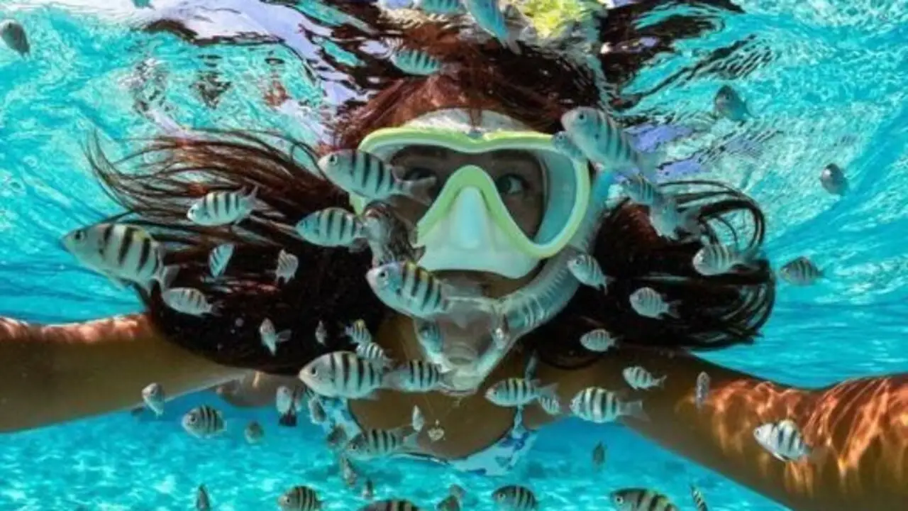 Hon Mun Snorkeling Tour from Nha Trang