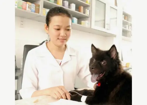 Petta Care — veterinary clinic in Ho Chi Minh City