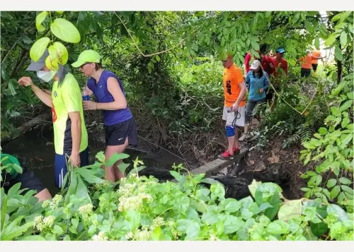 Saigon Hash House Harriers — social walks and runs