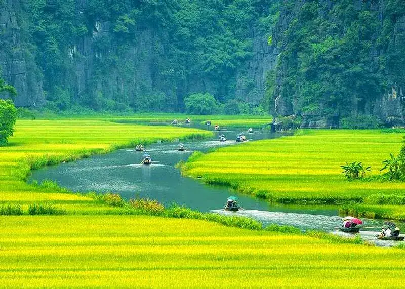 Ninh Binh Travel — Hoa Lu, Tam Coc and Mua Cave day tour