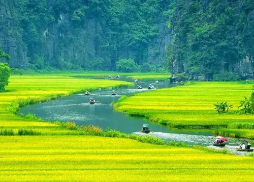 Ninh Binh Travel — Hoa Lu, Tam Coc and Mua Cave day tour