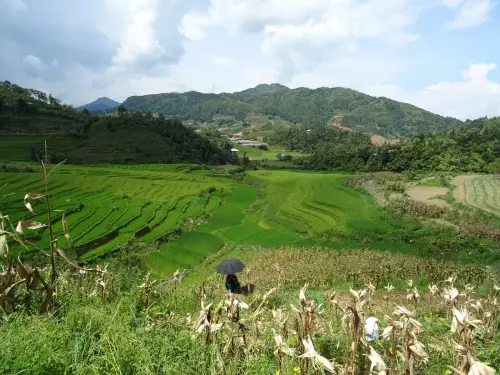 Sa Pa and Fansipan: terraces and mountain trails